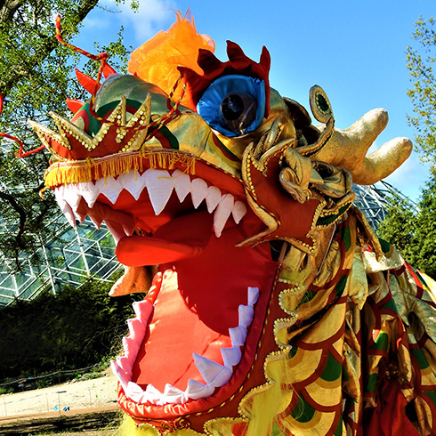 Dancing dragon costume